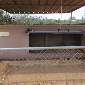 African Crested Porcupine Exhibit - den
