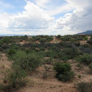 African Lion Exhibit (currently empty)