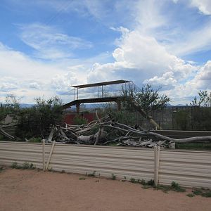Huge Lizard Exhibit (with probably a dozen different species)