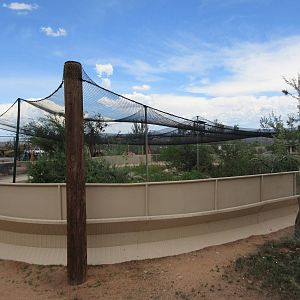 Huge Lizard Exhibit (with probably a dozen different species)