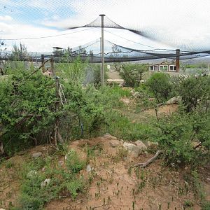 Huge Lizard Exhibit (with probably a dozen different species)