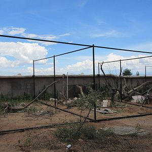 Future Outdoor Reptile Exhibits