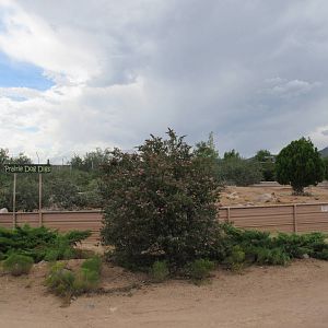 Prairie Dog Exhibit