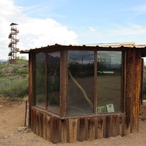 Coendou/Two-Toed Sloth Exhibit