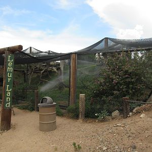 Ring-Tailed Lemur/Radiated Tortoise Exhibit