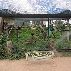 Ring-Tailed Lemur/Radiated Tortoise Exhibit