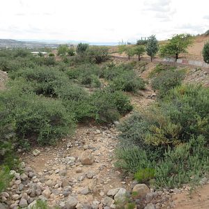 5-Acre White Rhino Exhibit (for a single male named Jericho)