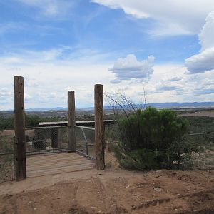 African Lion Exhibit