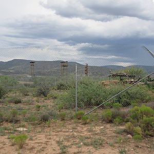 African Black Leopard Exhibit