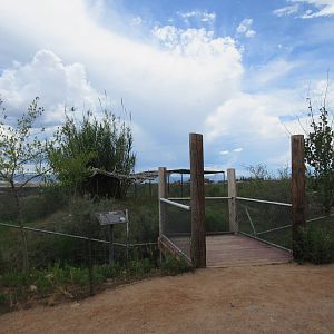 Serval Exhibit (almost an acre)