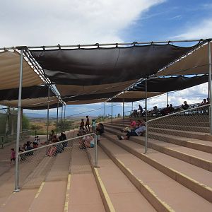 Tiger Splash Show - seating area