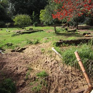 African Hunting Dog enclosure