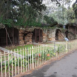 Historical Bear Caves