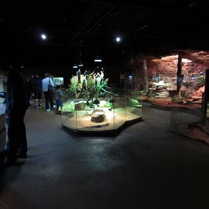 Reptile House interior