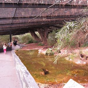 Walkthrough aviary - Southwest Birds