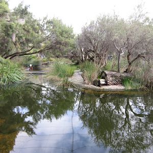 Wetland Aviary interior