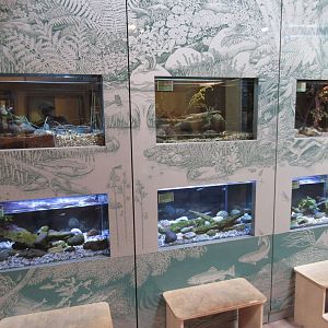 Assorted Freshwater Tanks