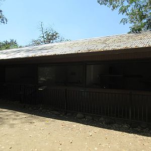 Temporary Bird Aviaries (will be emptied when Sheraton Hotel opens)