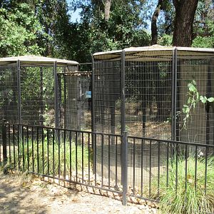 Empty Aviaries