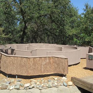 Tree-Themed Kiddie Maze