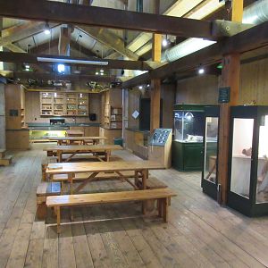 Sawmill Building (with assorted terrariums)