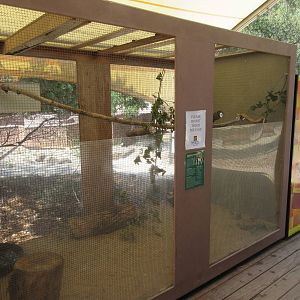 Kookaburra Exhibit