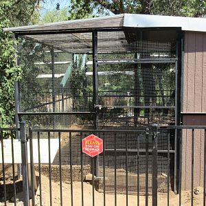 American Badger Exhibit