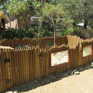Desert Tortoise Exhibit