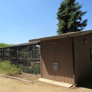 Parrot Playhouse (walk-through aviary)