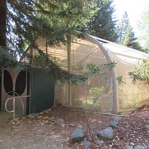 Walk-Through Butterfly Greenhouse
