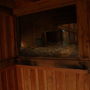 Raccoon/Skunk indoor viewing window (May 2nd, 2015)