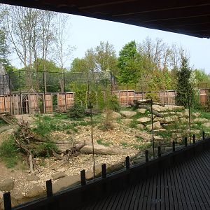 Wolf exhibit and viewing area (May 2nd, 2015)