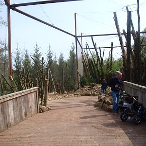 Invasive species aviary (May 2nd, 2015)