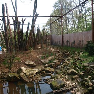 Invasive species aviary (May 2nd, 2015)