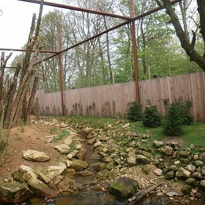 Invasive species aviary (May 2nd, 2015)