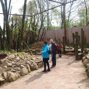 Invasive species aviary (May 2nd, 2015)