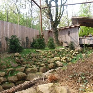 Invasive species aviary (May 2nd, 2015)