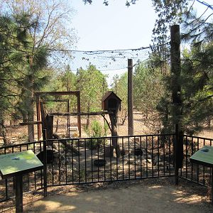 North American Porcupine/Striped Skunk Exhibit
