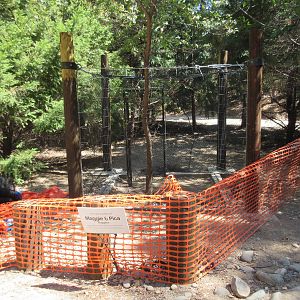 Future Yellow-Billed Magpie Exhibit