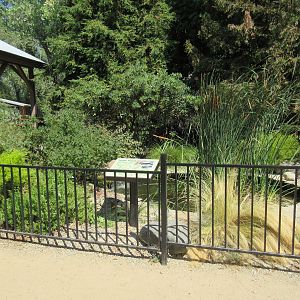 Freshwater Turtle Exhibit