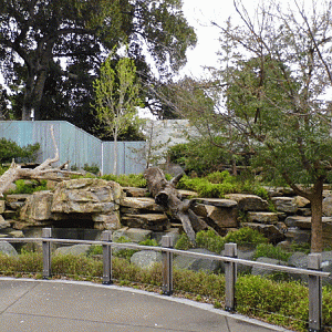 Giant Panda Enclosure