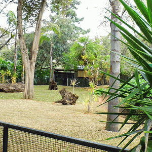 New Giant Tortoise Enclosure