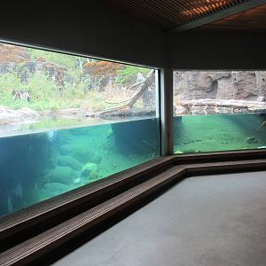 North American River Otter Exhibit