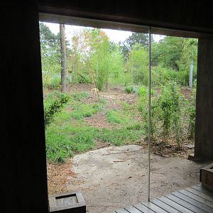Malayan Tiger Exhibit (New in 2015)