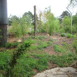 Malayan Tiger Exhibit (New in 2015)