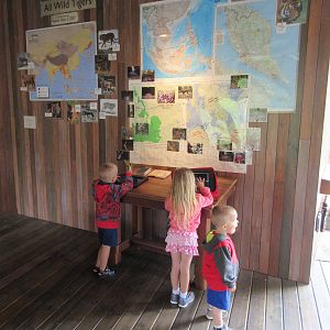 Tiger Conservation Center (with 3 out of 4 Snow Leopard cubs!)