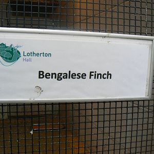 Minimalistic Signage