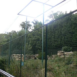 View Of Condor Aviary