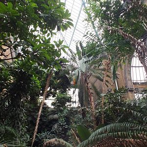 View inside the Butterfly Garden