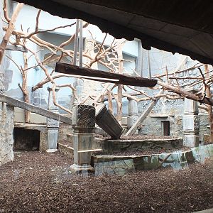 Enclosure for Javan Langurs